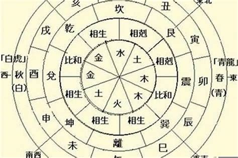 日主天干為水|生辰八字日主五行屬水之人身體健康命理專家解析【八字命理教學。